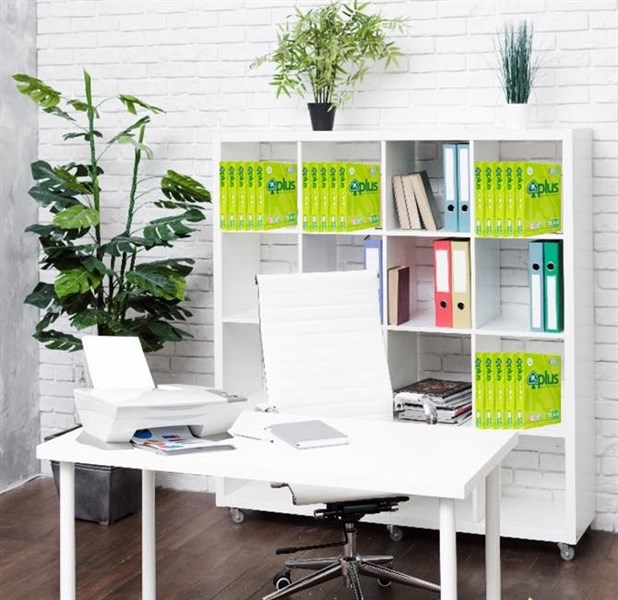 Hướng dẫn bảo quản giấy tờ văn phòng đơn giản nhất