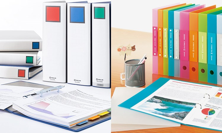 File Hồ Sơ - Bìa Hồ Sơ giá cực tốt chỉ có tại Batos