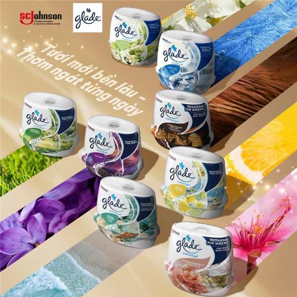 Sáp thơm Glade mùi nào được ưa chuộng nhất? Thời gian lưu hương và cách sử dụng