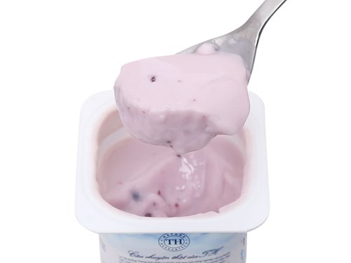 Thùng 48 hộp sữa chua ăn men sống việt quất tự nhiên TH True Yogurt 100g