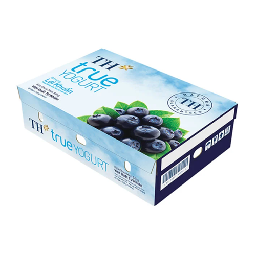 Thùng 48 hộp sữa chua ăn men sống việt quất tự nhiên TH True Yogurt 100g