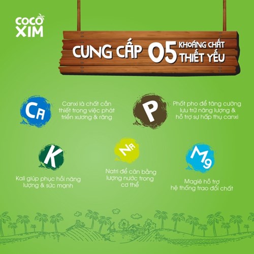 Thùng 12 hộp nước dừa Cocoxim xiêm tắc 330ml