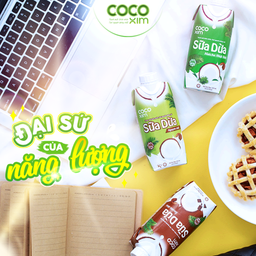 Thùng 12 hộp sữa dừa Cocoxim Chocolate 330ml