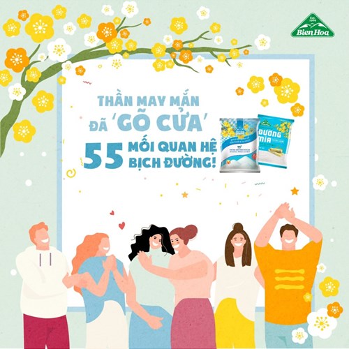 Thùng 20 túi đường mía thượng hạng cành mai Biên Hòa 1kg