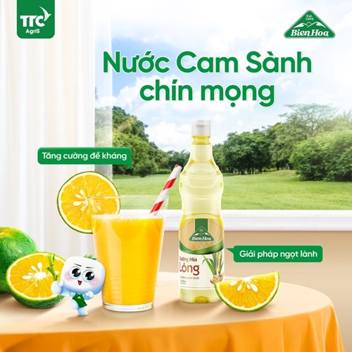 Thùng 4 chai đường mía lỏng Biên Hòa 4,8L