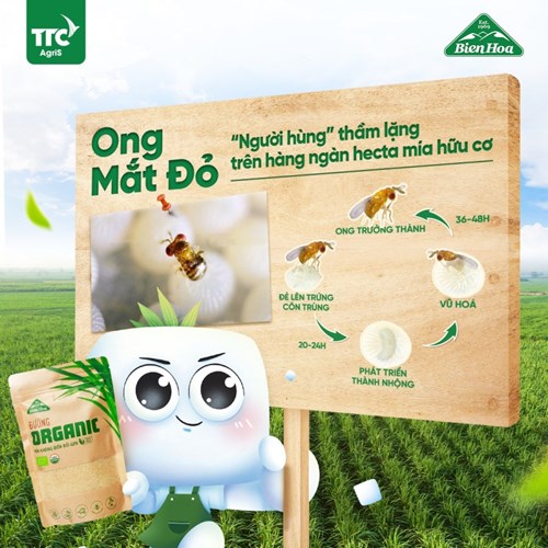 Thùng 24 túi đường Biên Hòa Organic 400gr