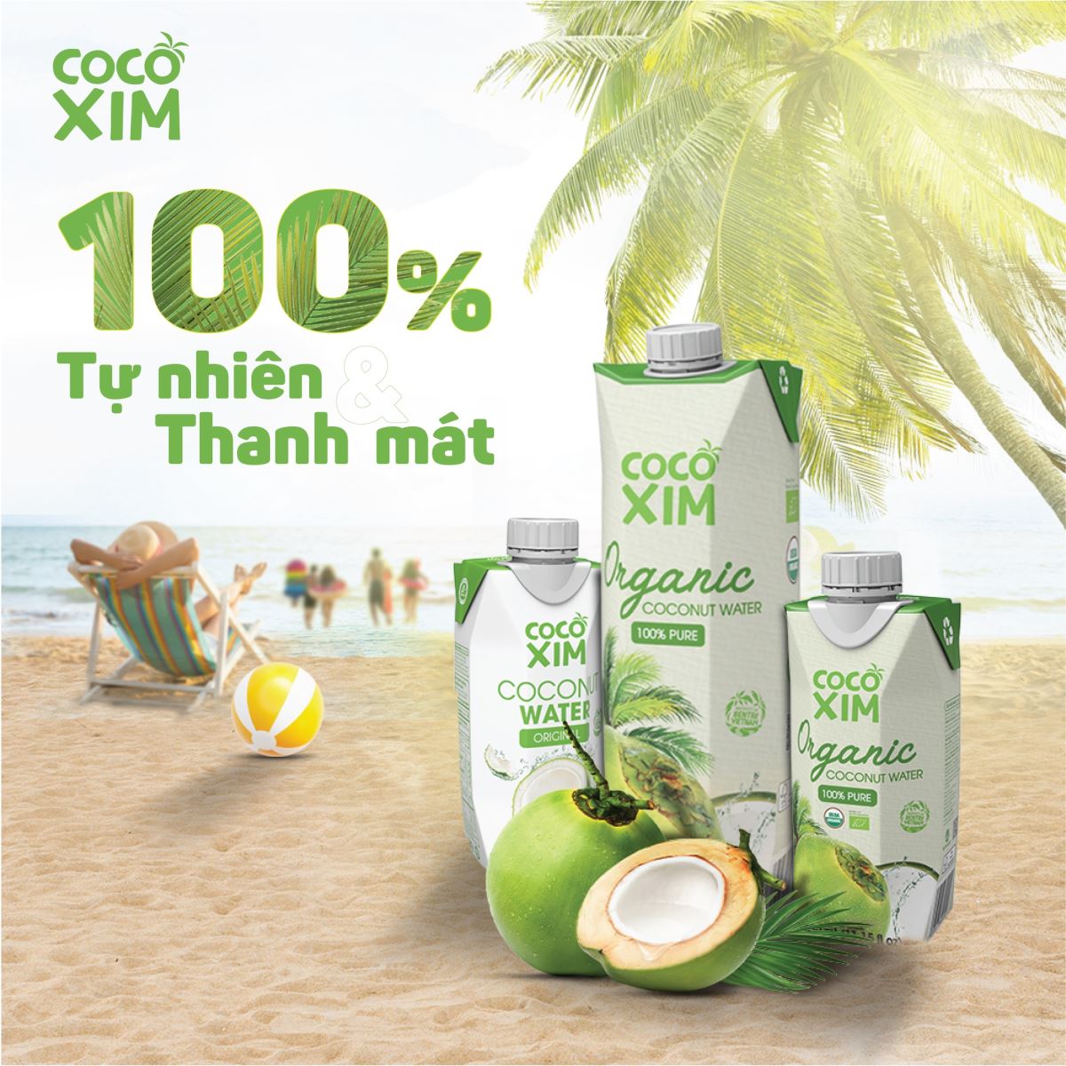 Nước dừa Cocoxim - Cảm nhận vị ngọt đích thực từ trái dừa tươi Bến Tre!