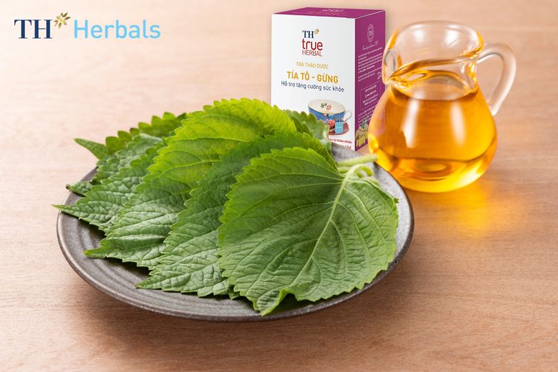 Chào xuân bằng những tách trà thảo dược tươi mát, ngọt ngào từ TH true Herbal