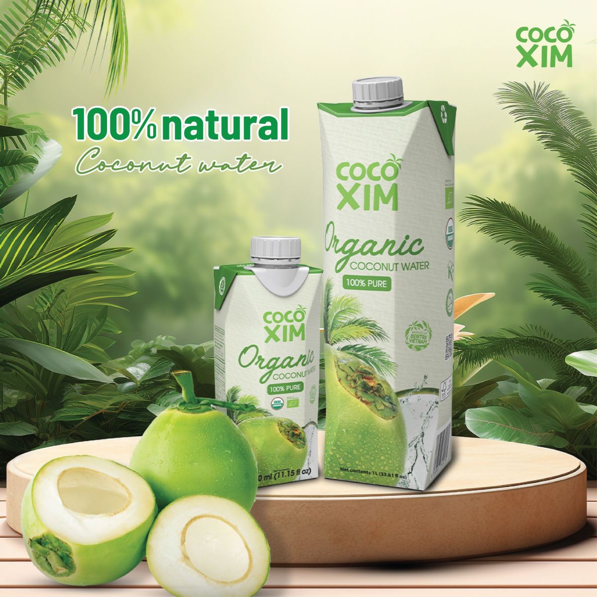 Nước dừa Cocoxim - Cảm nhận vị ngọt đích thực từ trái dừa tươi Bến Tre!