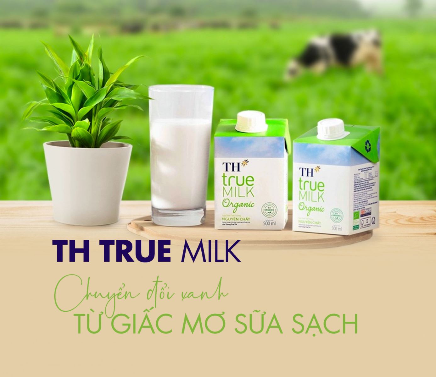 Combo bữa sáng dinh dưỡng đến trường cho các bé yêu
